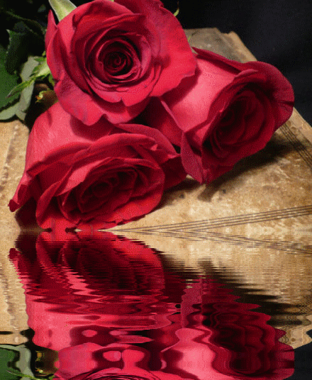 GIFY GIFKI GIFOWNIK    - wod róże czerwone.gif