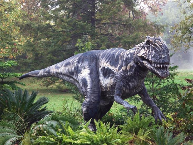 Dinozaury - 148.jpg