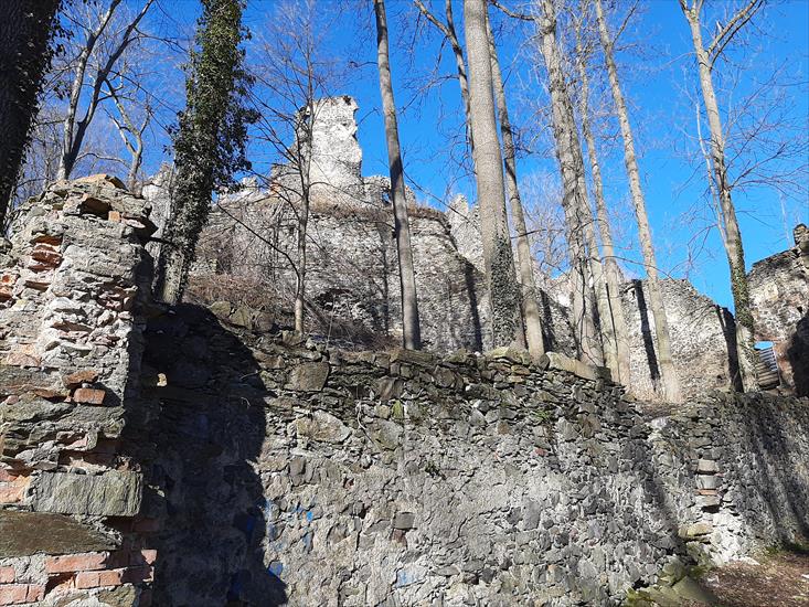 2021.03.06 05 - Proszówka - Ruiny zamku Gryf - 002.jpg